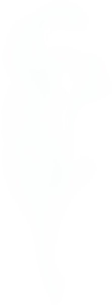 Realistic white smoke steam, waves